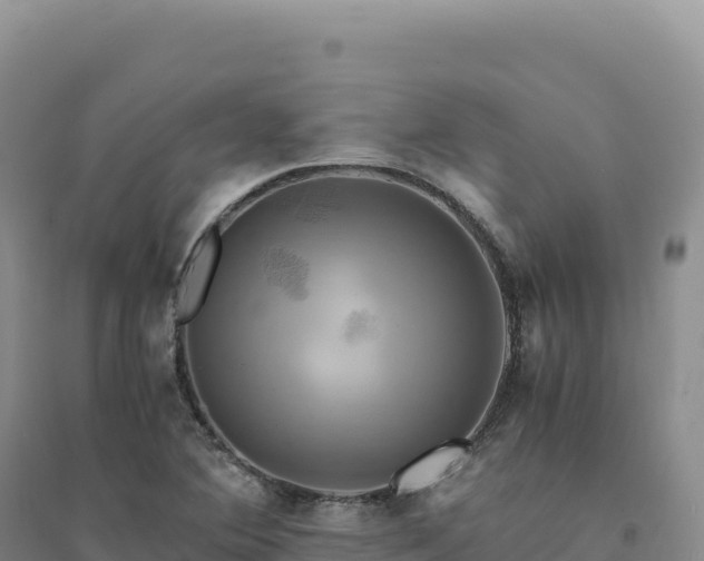 X0000094371364200711091528