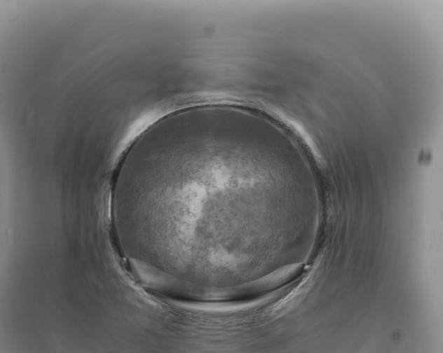 X0000094371365200711091528