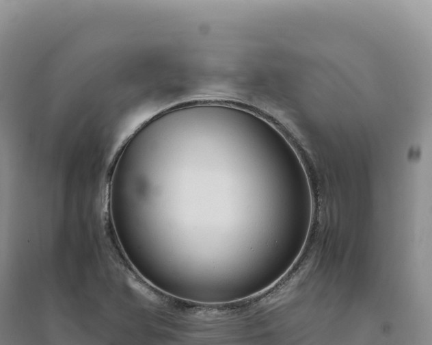 X0000094371366200711091528