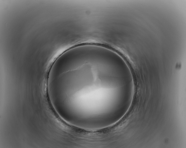 X0000094371367200711091528