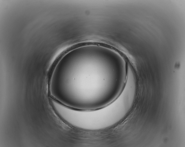 X0000094371368200711091528