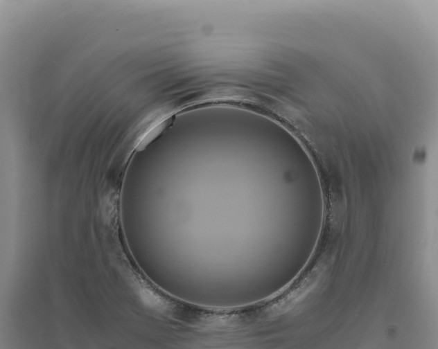 X0000094371369200711091528