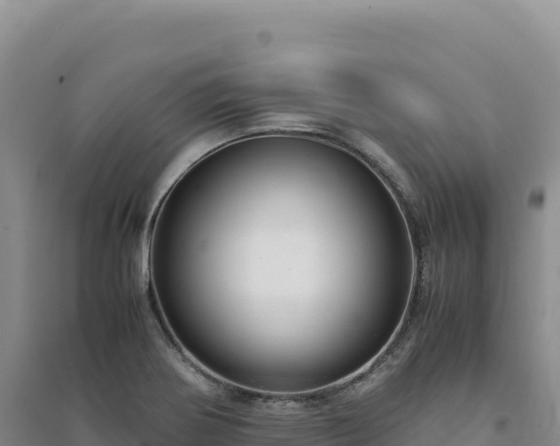 X0000094371370200711091528