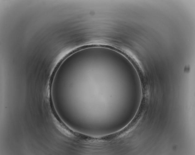 X0000094371372200711091528