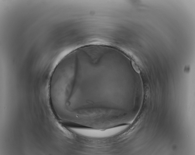 X0000094371375200711091528
