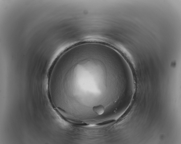 X0000094371376200711091528
