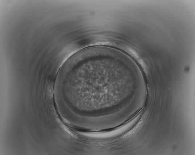 X0000094371377200711091528