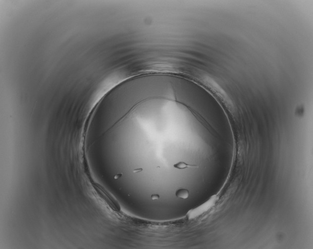 X0000094371378200711091528