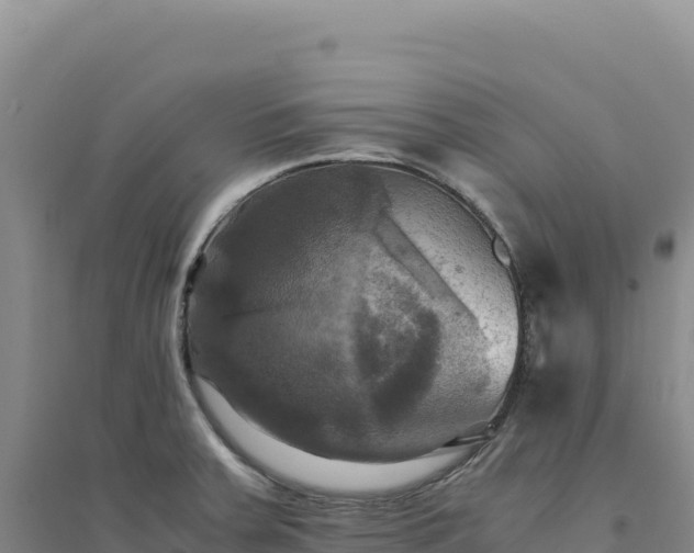 X0000094371379200711091528