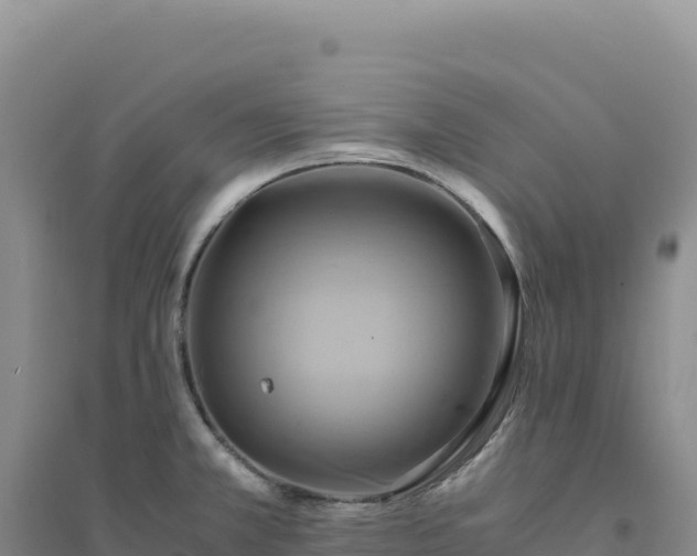 X0000094371381200711091528