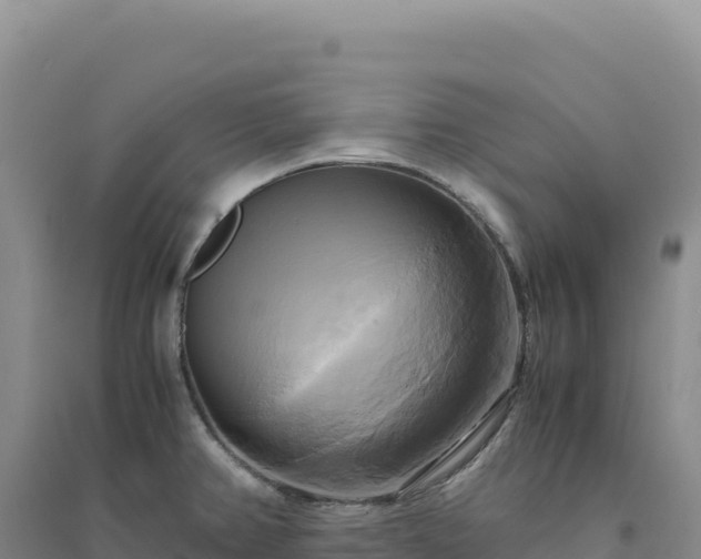 X0000094371382200711091528