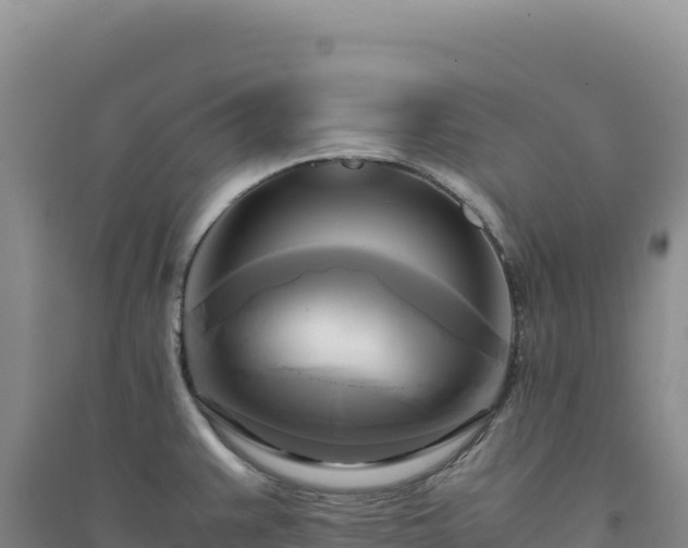 X0000094371383200711091528