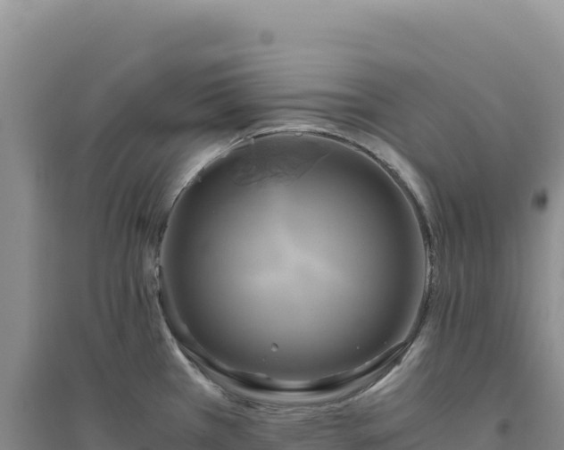 X0000094371385200711091528