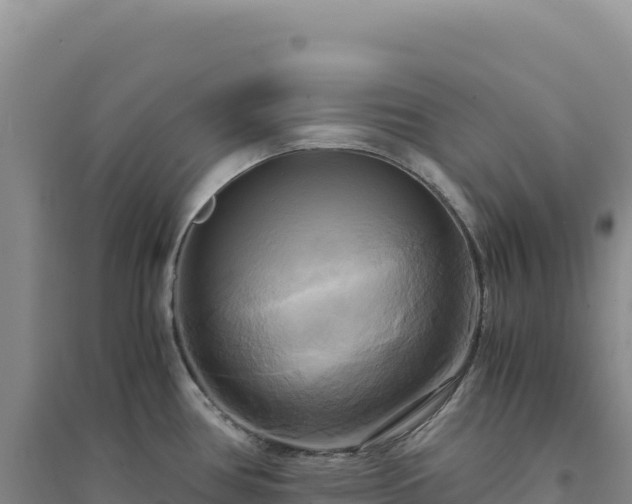 X0000094371386200711091528