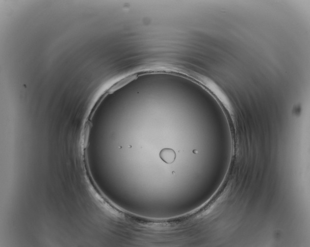 X0000094371388200711091528