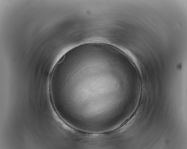 X0000094371390200711091528