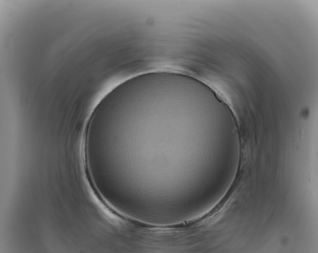 X0000094371391200711091528