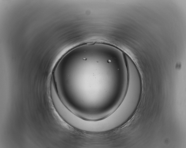 X0000094371392200711091528