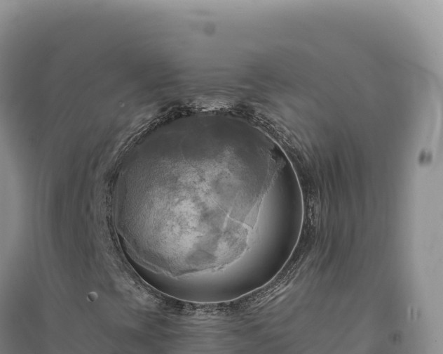 X0000094371393200711091527