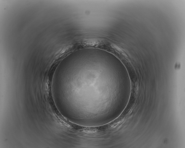 X0000094371394200711091527