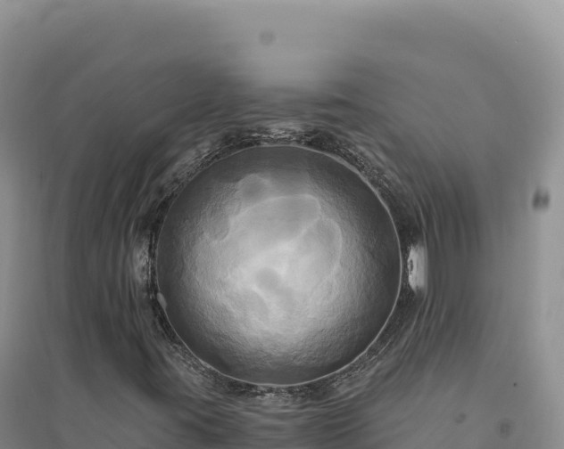 X0000094371395200711091527