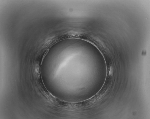 X0000094371396200711091527