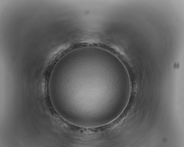 X0000094371398200711091527