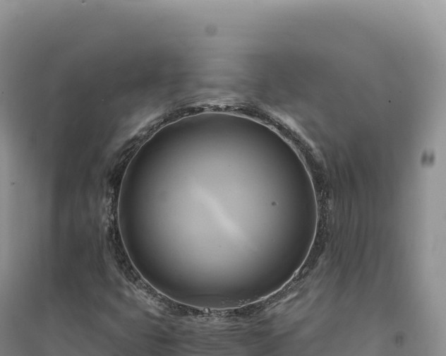X0000094371399200711091527
