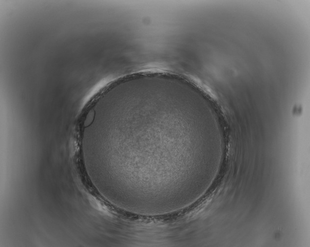 X0000094371400200711091527