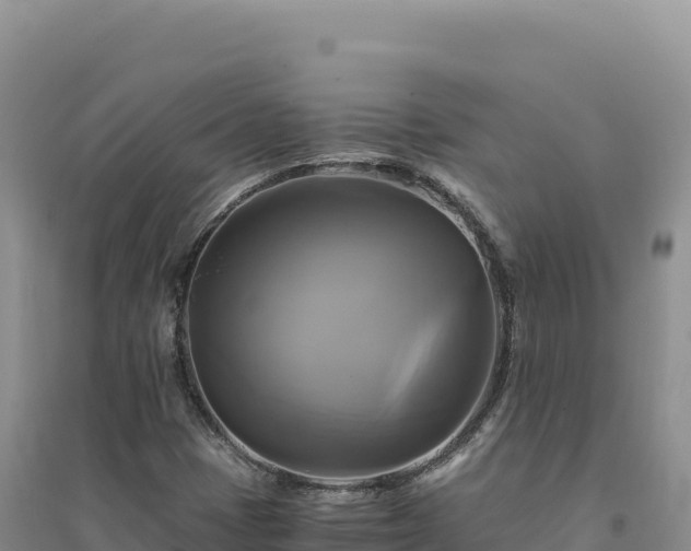 X0000094371401200711091527