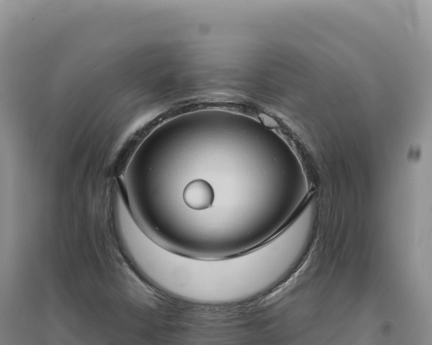 X0000094371402200711091527