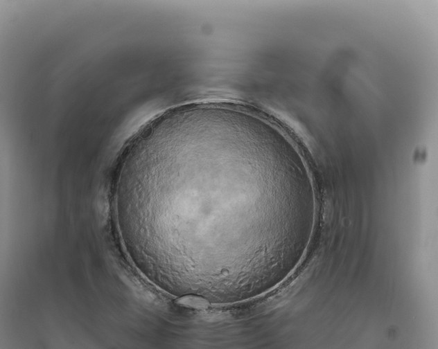 X0000094371407200711091527