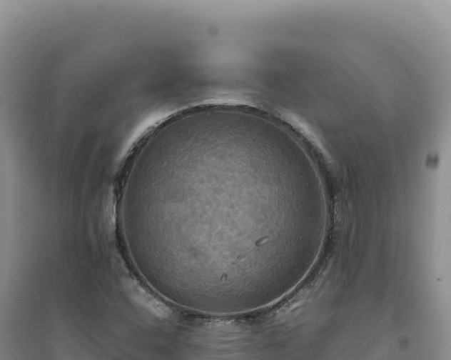 X0000094371408200711091527