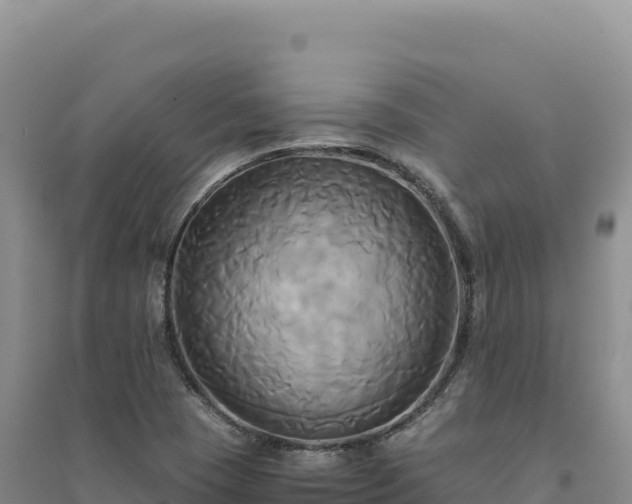 X0000094371409200711091527