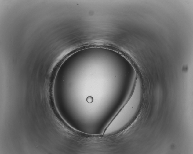 X0000094371410200711091527