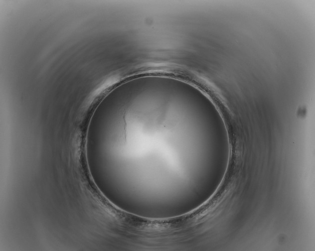 X0000094371411200711091527