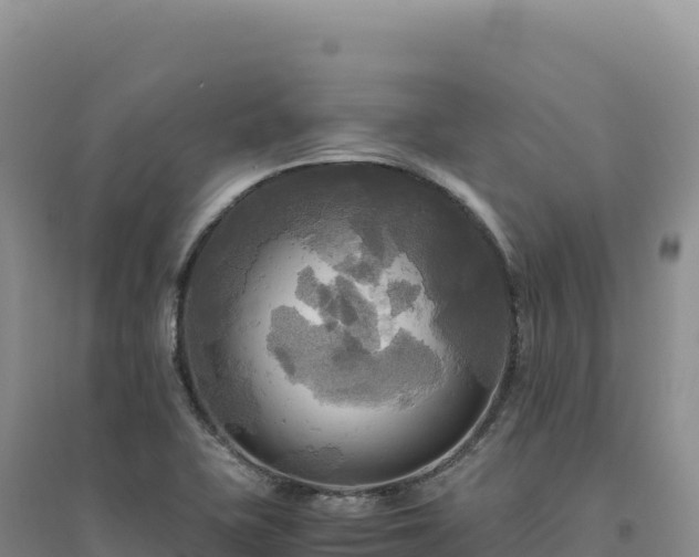 X0000094371415200711091527