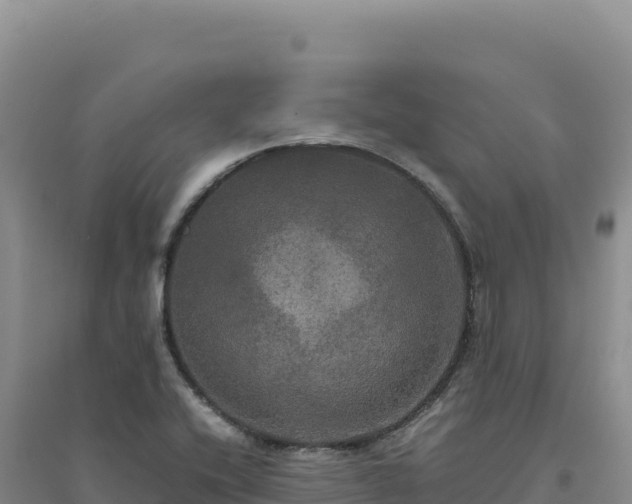 X0000094371416200711091527