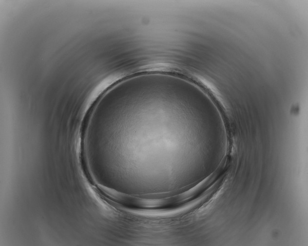 X0000094371418200711091527