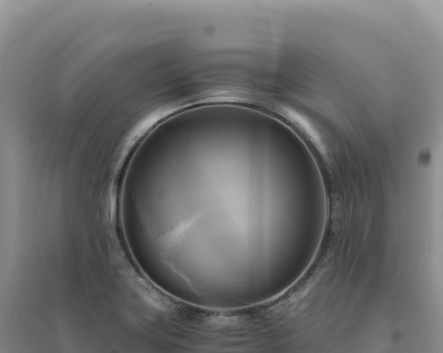 X0000094371419200711091527