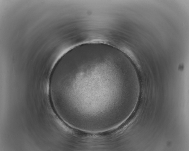 X0000094371420200711091527