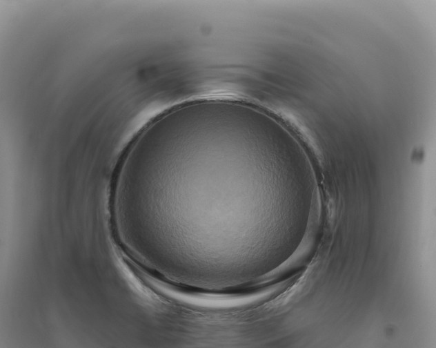 X0000094371422200711091527