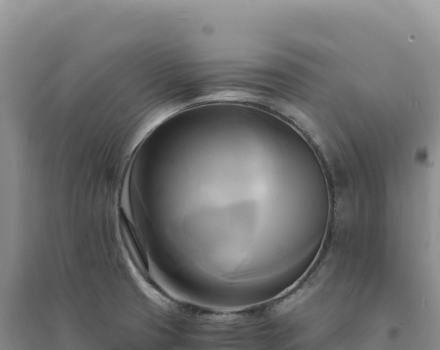 X0000094371425200711091527