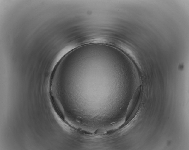 X0000094371426200711091527