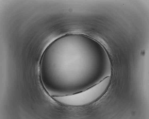 X0000094371428200711091527