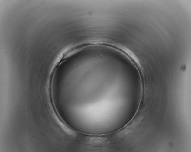 X0000094371429200711091527