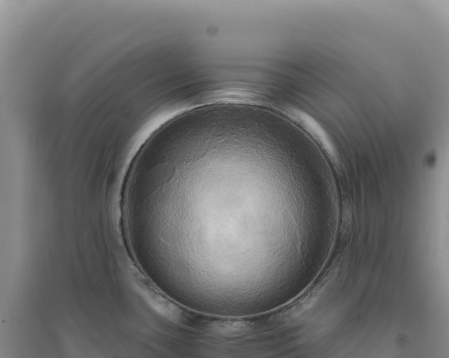 X0000094371435200711091527