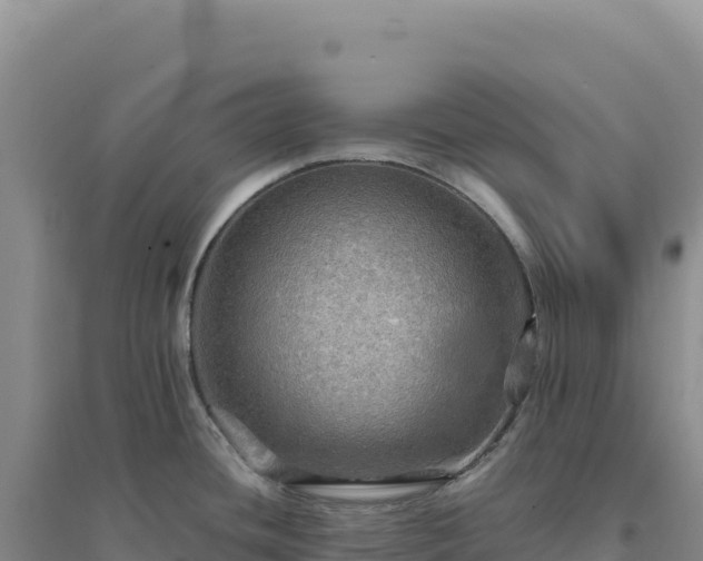 X0000094371436200711091528