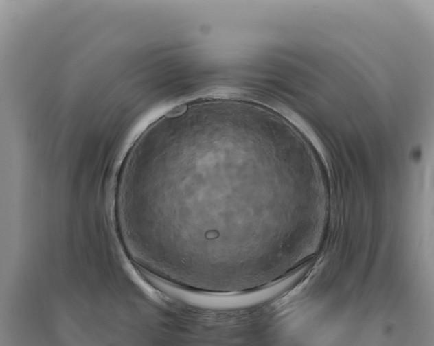X0000094371437200711091528