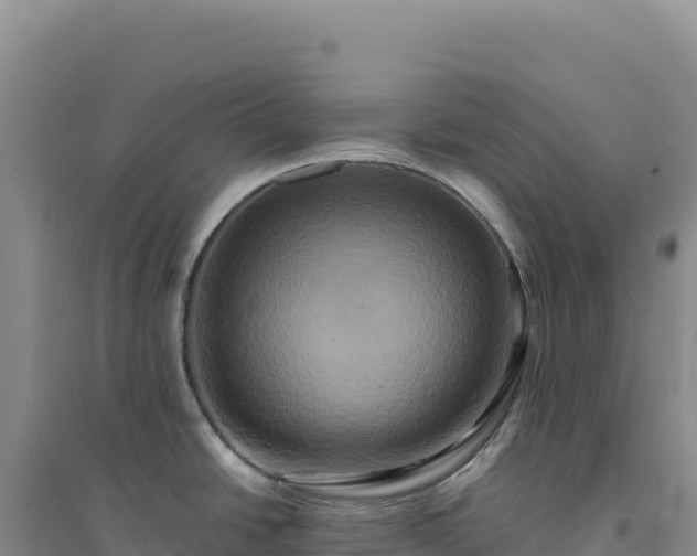 X0000094371438200711091528